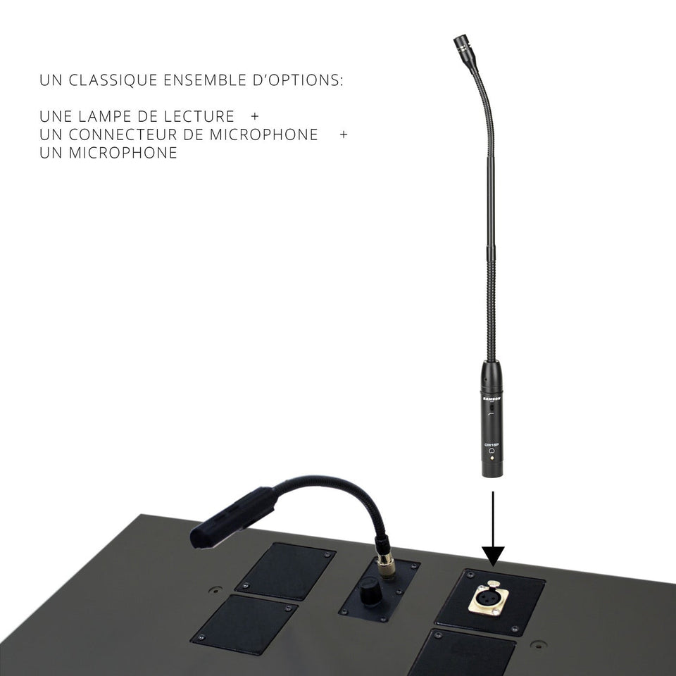 Ensemble classique d'options pour lutrins