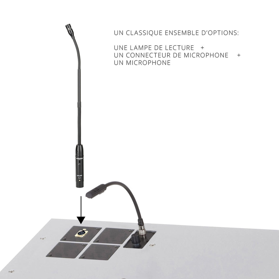 Ensemble classique d'options pour lutrins