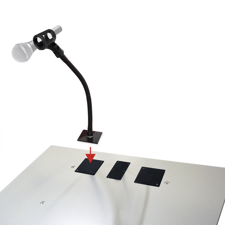 Support de microphone - avec microphone sans fil